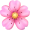 Shine Icon